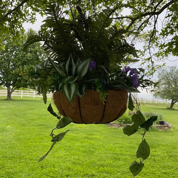 Floral Fern Hanging Basket!!💕 - Picture 4 of 4